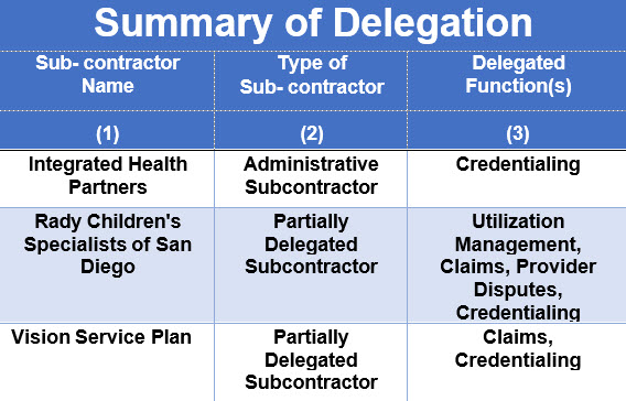 Summary of Delegation